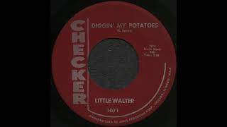 DIGGIN&#39; MY POTATOES / LITTLE WALTER (WASHBOARD SAM) [CHECKER 1071]