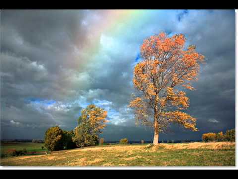 Brian Crain - Perfect Rainbow