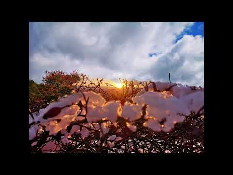 Lunca Cernii de Jos - Piesa muzicala despre comuna