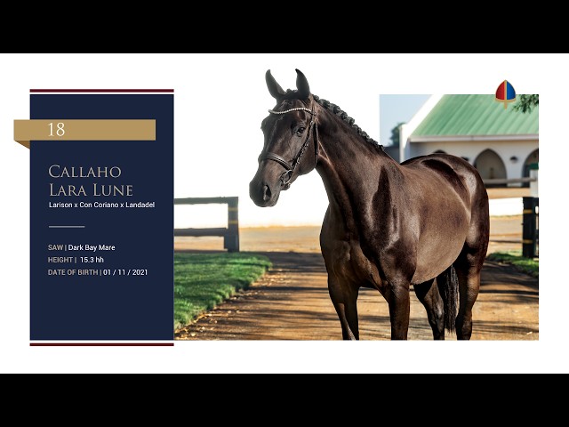 Callaho Lara Lune
