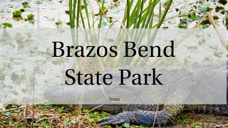 preview picture of video 'Travel Destination: Texas, Brazos Bend State Park'