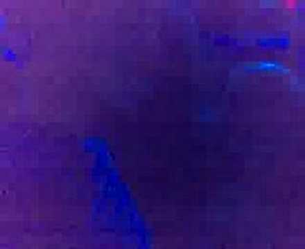 Deleterio's family - Piper 16 12 2007