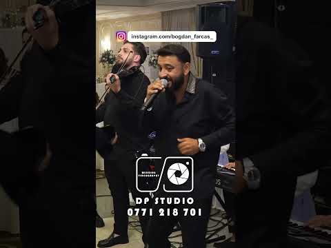 Hora Fericirii - Bogdan Farcaș #2025 #live #wedding