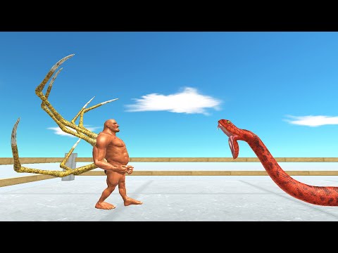 SPIDER GIANT HILL 1 VS 1 EVERY UNIT | ANIMAL REVOLT BATTLE SIMULATOR