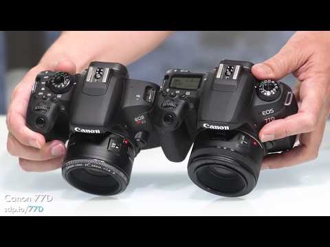 Canon SL2 vs T7i vs 77D (200D vs 800D vs 77D) Which 📷 is best?