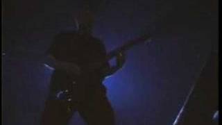 Starring Through The Eyes Of The Dead