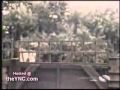 AFV Jump