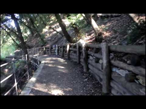 Sentiero Camogli-Punta Chiappa