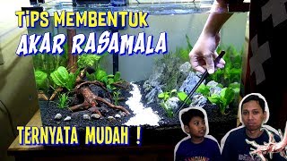Tutorial Set-Up Aquascape 60cm | Simple - Elegan - Low Maintenance