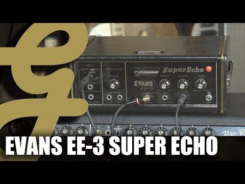 Evans Super Echo EE-3 image 13