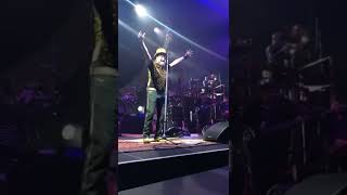 Zucchero Fornaciari Non ti sopporto più live Wanted tour 2018