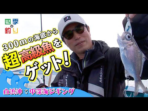 白浜沖で中深海ジギング　300ｍの海底から超高級魚をゲット！（四季の釣り/2023年4月14日放送）