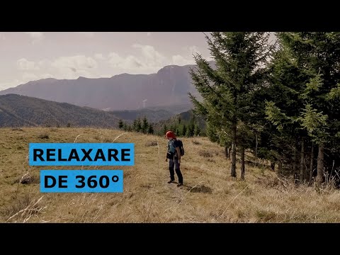 Clabucetul Azugii -  Drumetie rapida de relaxare din Azuga (Acasa, in natura - Ep. 26)
