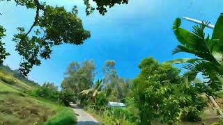 Nomad Travel│New Nomad Village│4K