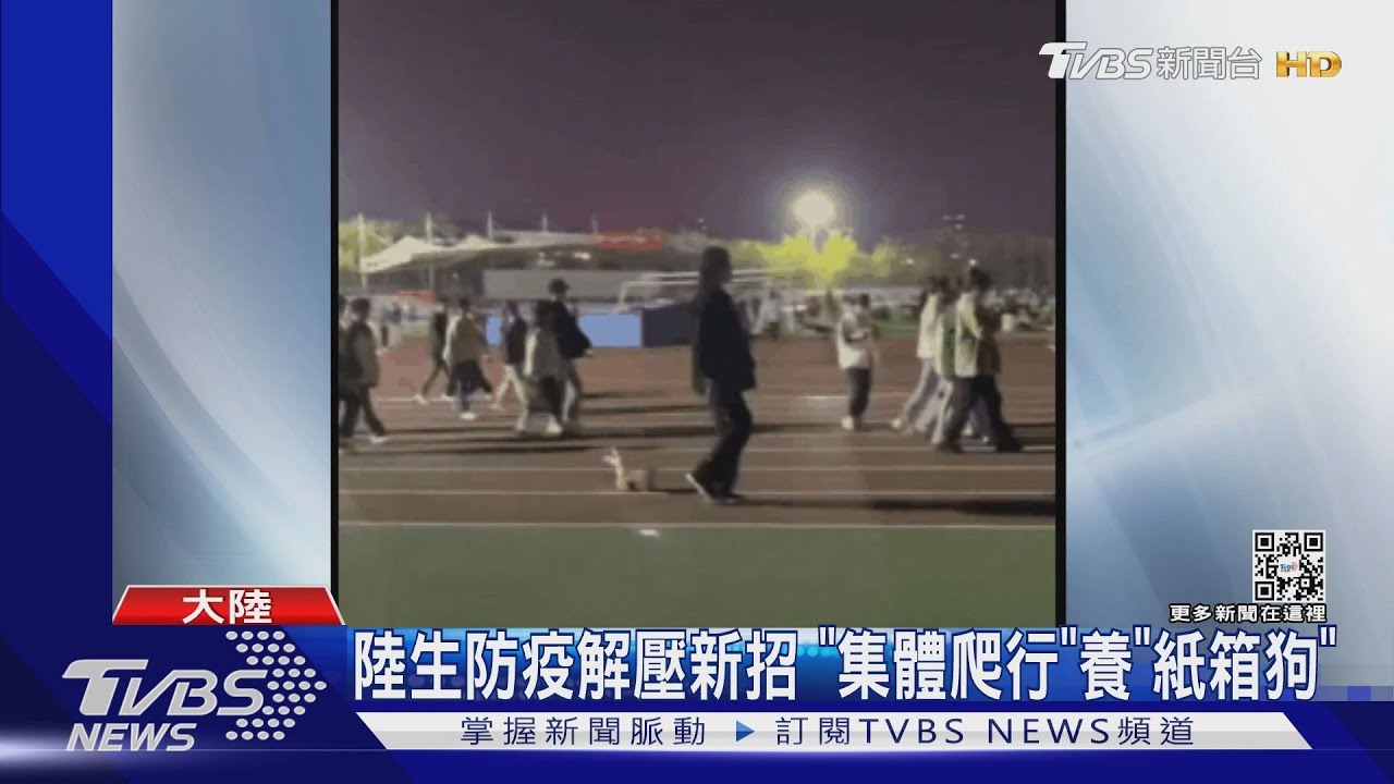 陸生防疫解壓新招 「集體爬行」養「紙箱狗」