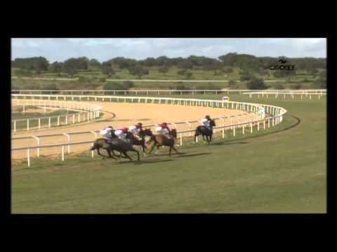 5 Carrera, G. P. Memorial Javier Piñar Hafner, 14 de febrero 2016 - Gran Hipódromo de Andalucía