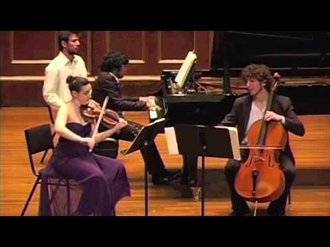 Brahms Piano Trio No 1 in B Major, 4th mov - Anima Trio