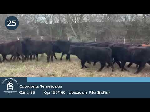 Lote M Y H - Pila Bs As