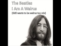 The Beatles - I Am A Walrus (Skill wants to be ...