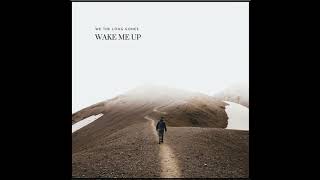 WAKE ME UP - Acoustic Cover