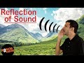 Reflection Of Sound Physics