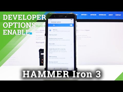 How to Enable Developer Options in Hammer Iron 3 – Enter Advanced Options