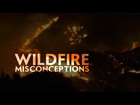 This is what we get wrong about wildfires