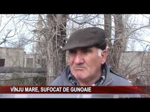 ViNJU MARE, SUFOCAT DE GUNOAIE