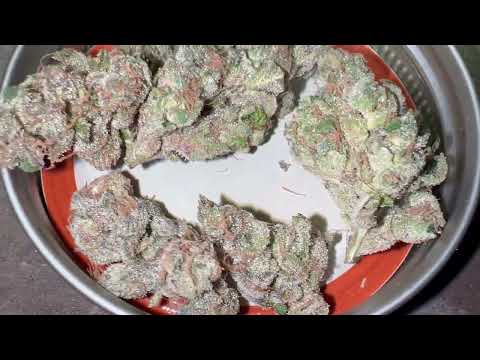 Banana Runtz from Solfire Gardens