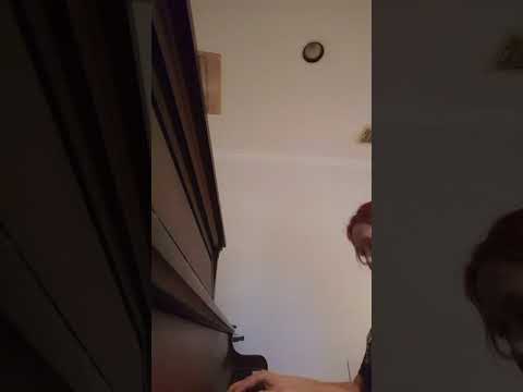 My take on Nolan Neal's song on AGT