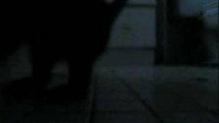 Zero - Kittie - Safe (KMFDM Inc. Remix)