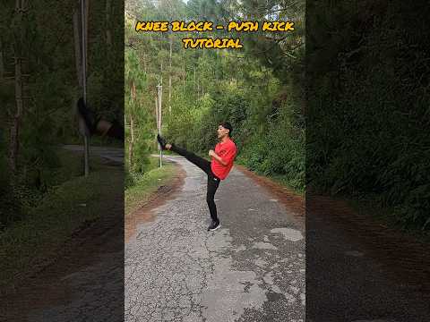 knee block + push Kick Tutorial #selfdefence #fight #fightingskills #action #ytshorts #shorts
