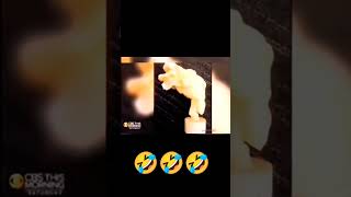 Download lagu Suara asli firaun🤣🤣#meme#firaun#suarafiraun mp3