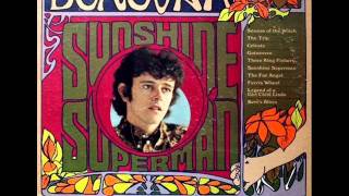 Bert&#39;s Blues by Donovan on 1966 Mono Epic LP.