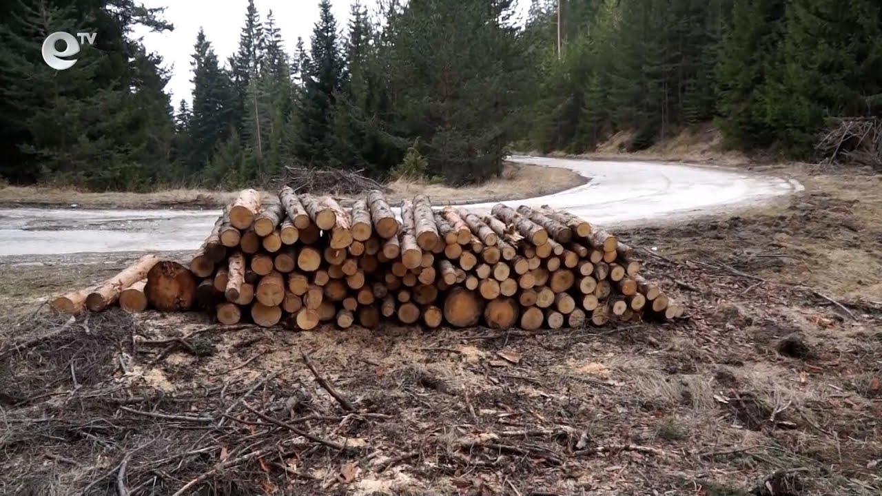 Дърва за огрев има, но цената им е по-висока