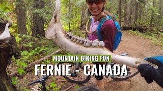 MOUNTAIN BIKING FUN in Fernie BC Canada