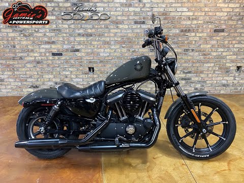 2019 Harley-Davidson Iron 883™ in Big Bend, Wisconsin - Video 1