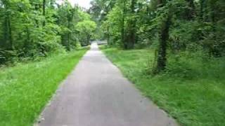 Real Life - YouTube Video Contest  (Alice Peacock)