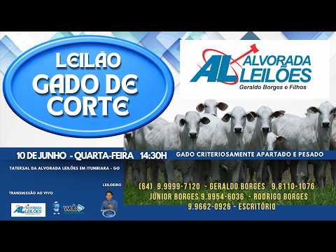 LEILÃO GADO DE CORTE ALVORADA LEILÕES DIA 10 DE JUNHO QUARTA-FEIRA 14:30h ITUMBIARA-GO