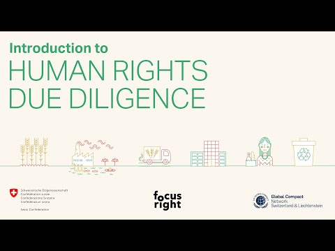 Introdução à Due Diligence em Direitos Humanos