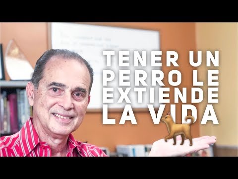 Un nuevo sospechoso para la enfermedad cardiovascular (y no es el colesterol) Un nuevo sospechoso para la enfermedad cardiovascular (y no es el colesterol)