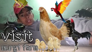 visit murgi farm and garden craigslist feeds#visit murgifarmandgardencraigslistfeeds