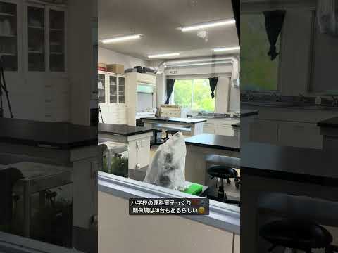 こども学科 大学内に小学校の教室がある！？#shorts #オープンキャンパス #社会学部 #こども学部 #模擬授業 #学部説明