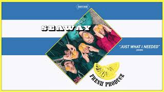 Seaway &quot;Just What I Needed&quot; (The Covers cover)