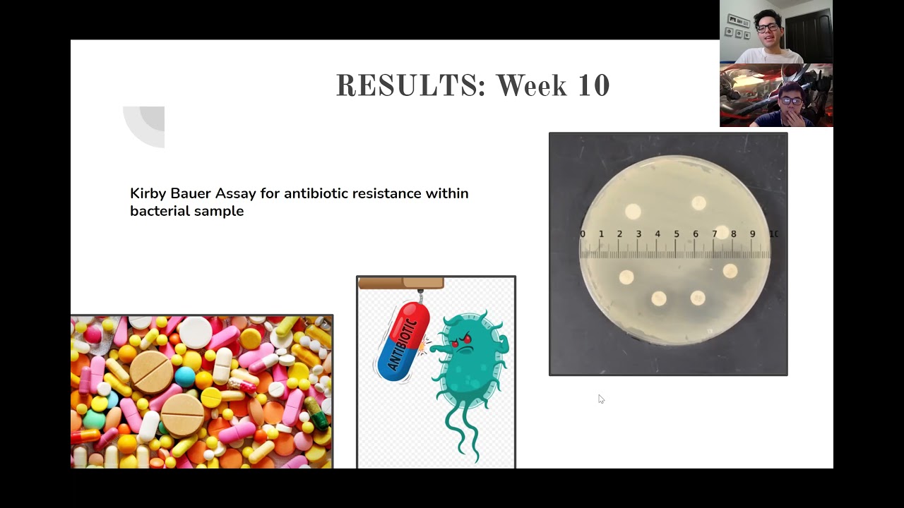 Microbiology Lab Final Presentation