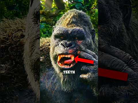 what actually happened with Kong’s tooth? #godzilla