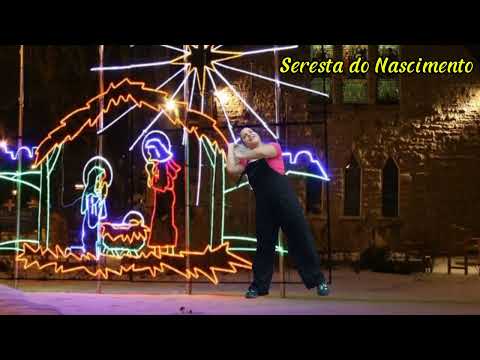 A seresta do nascimento - Ana Luiza de Geus