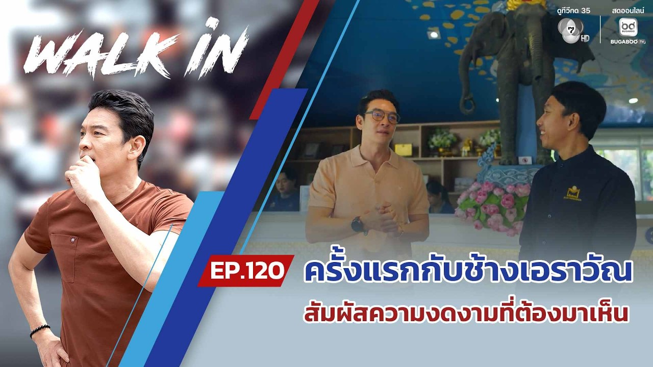 WALK in EP.120 | ครั้งแรกกับช้างเอราวัณ สัมผัสความงดงามที่?