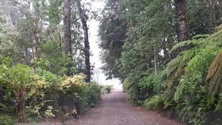 Bajada a Playa Las Hadas Lago Colico