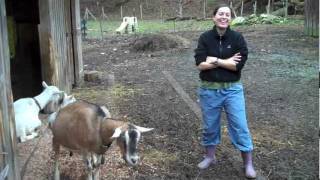 ADAMAH FALL Fundraiser 2011